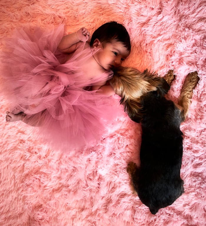 Zachariah S. — Newborn Portraits session with Robin Sunny Photography