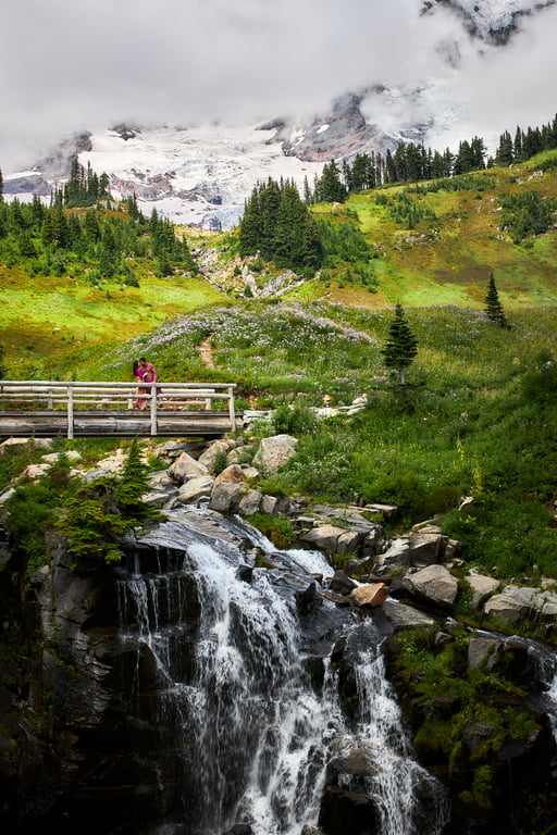 Couple walking hand in hand along a tree-lined Pacific Northwest path