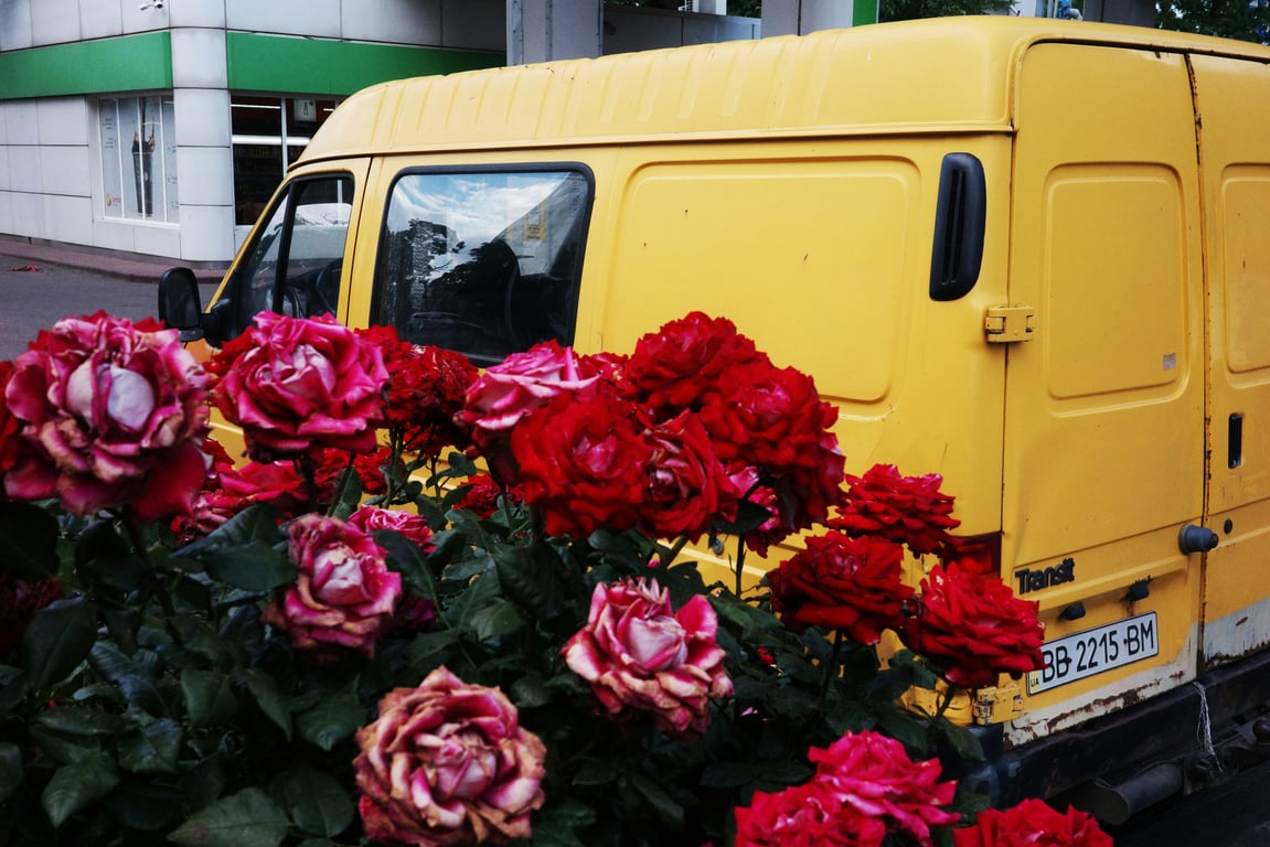 Organic Certification