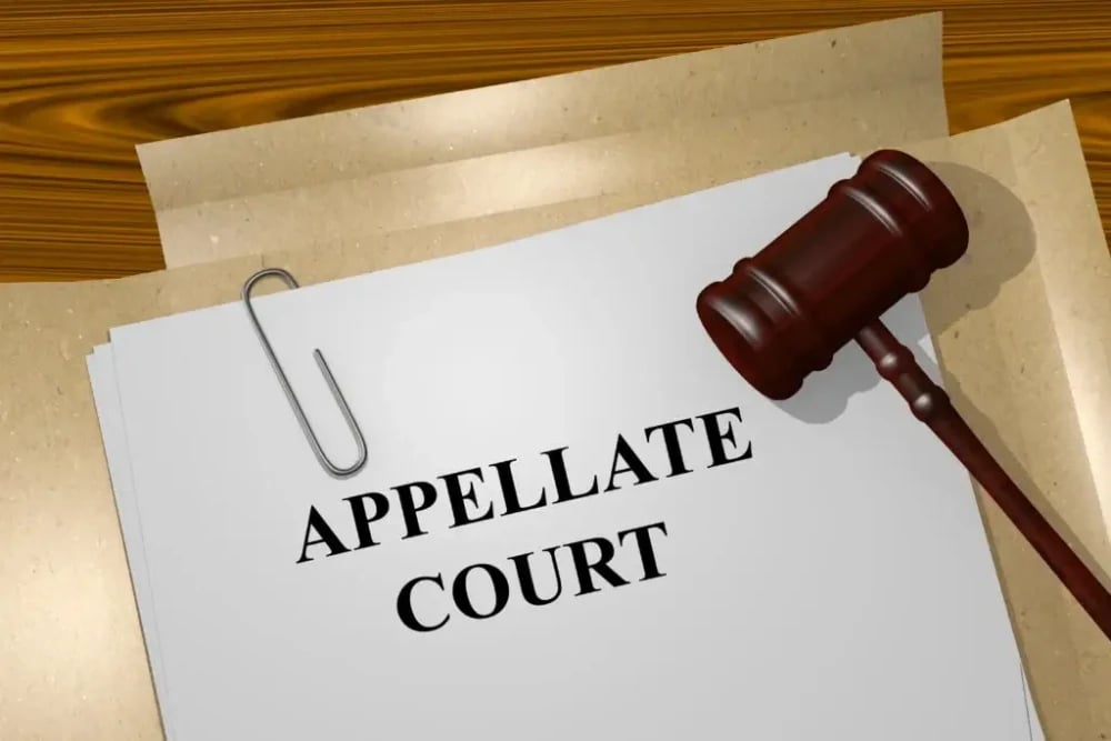 Retain Services for Drafting Appellate Brief