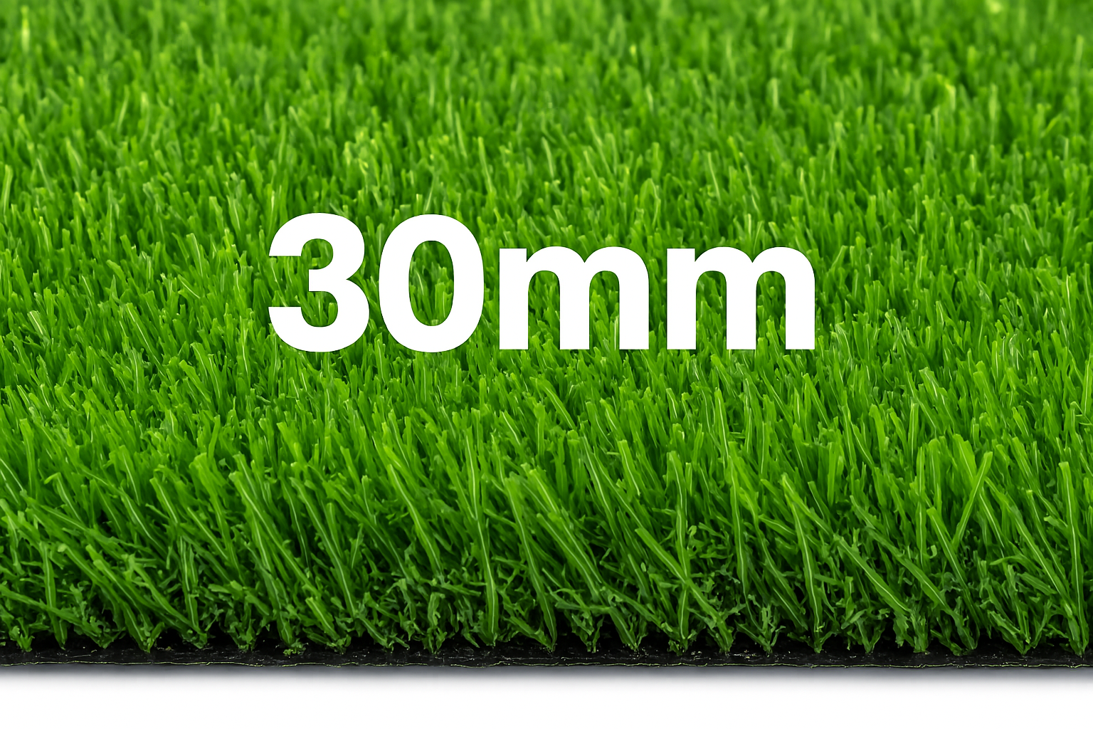 Carpet grass for sale
