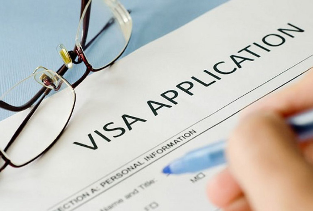 Empowering Pro Se Litigants in Immigration Consultant Disputes: Drafting Visa Application Claims