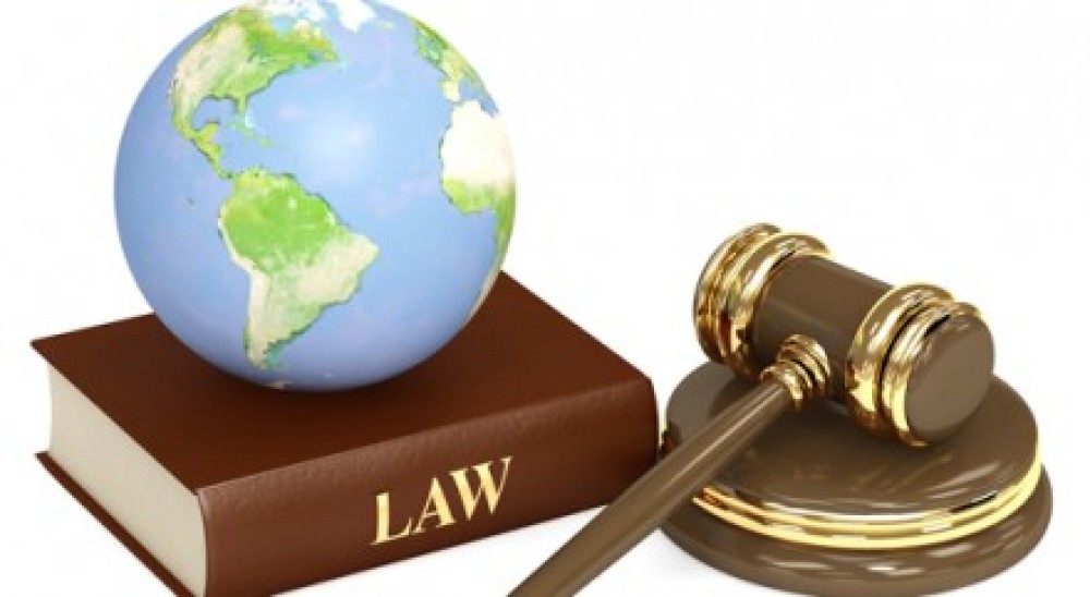 Pro Se Litigants in Environmental Disputes: Petitioning for Regulatory Relief