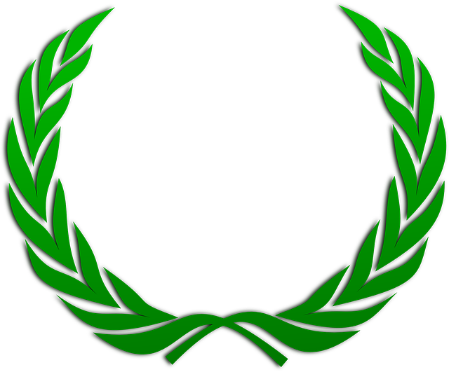 Website css