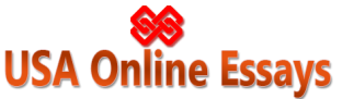 USA Online Essays