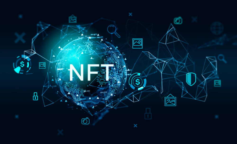 Pro Se Litigants in Digital Art NFT Disputes: Preparing Ownership Verification Claims