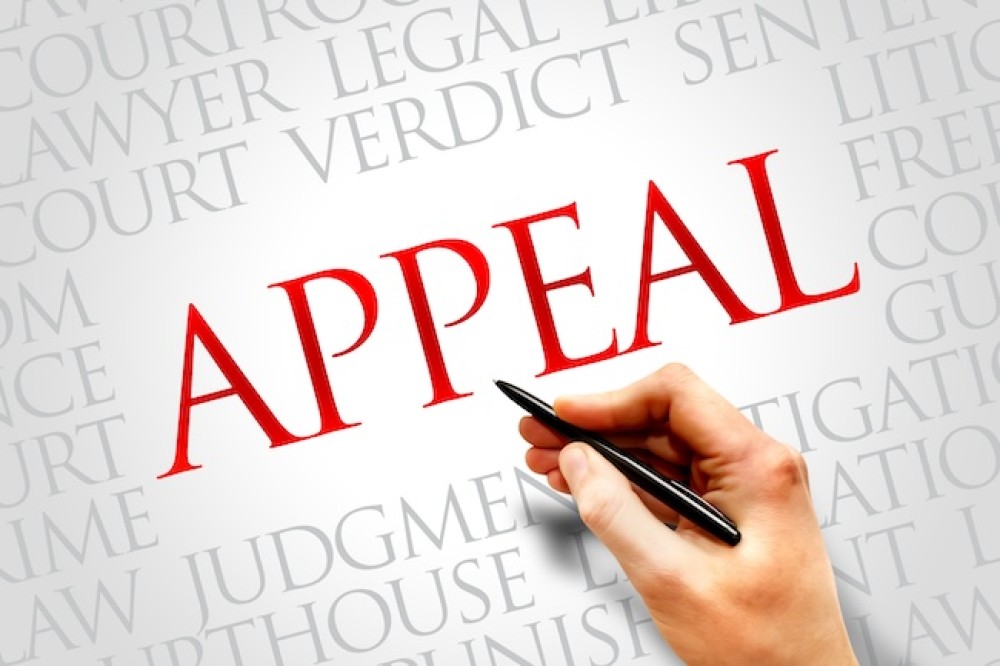 Pro Se Administrative Appeals: Challenging Agency Decisions