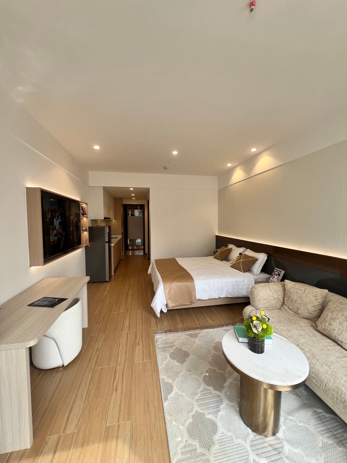 SPACIOUS STUDIOS APARTMENT FOR SALE