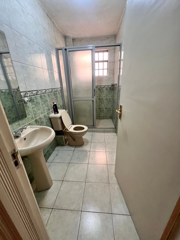 KILIMANI THREE BEDROOM PLUS A DSQ FOR RENT