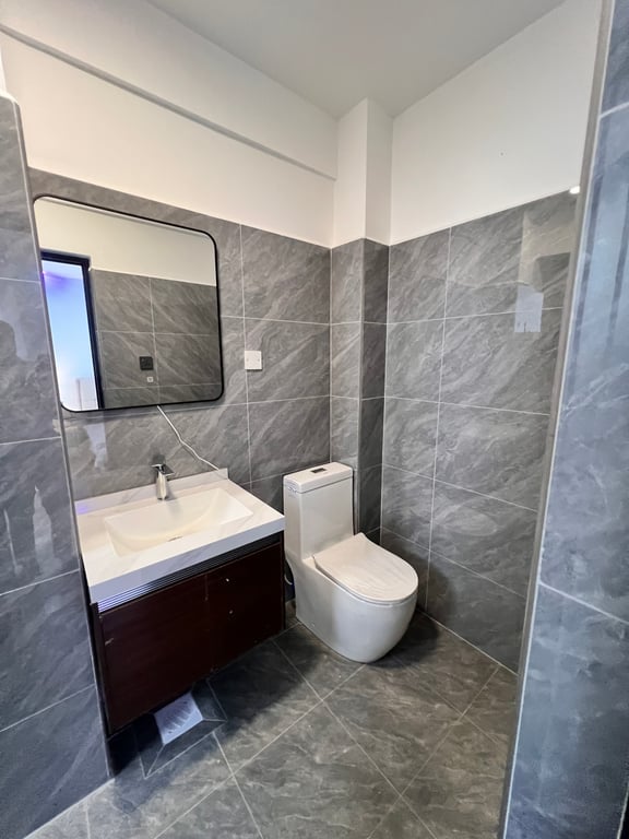 KILIMANI TWO BEDROOM APARTMENT PLUS DSQ FOR SALE