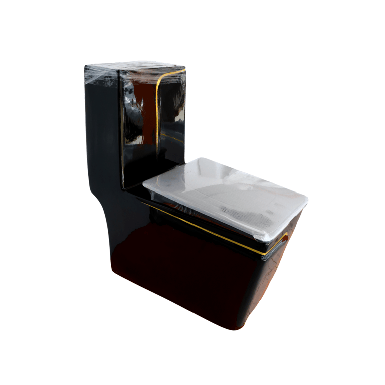 Homart Black One-Piece Toilet with Gold Trim