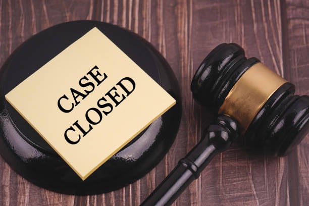 How Do Court-Ready Drafted Pleadings Protect Your Pro Se Litigant Rights?