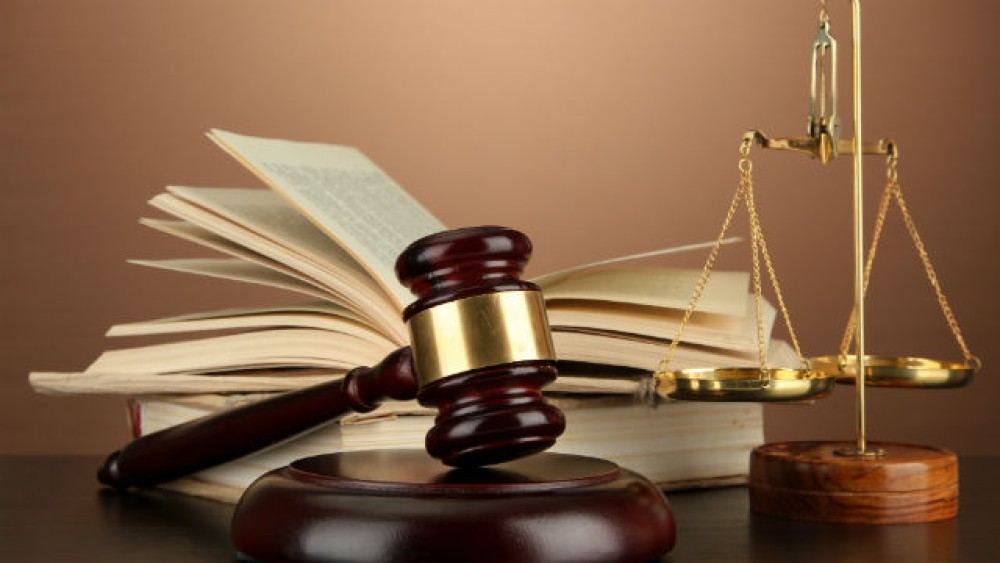 Drafting Petitions for Review in Immigration Appeals for Pro Se Litigants