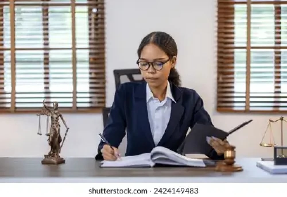 Professional Legal Brief Drafting Services for Court Filings