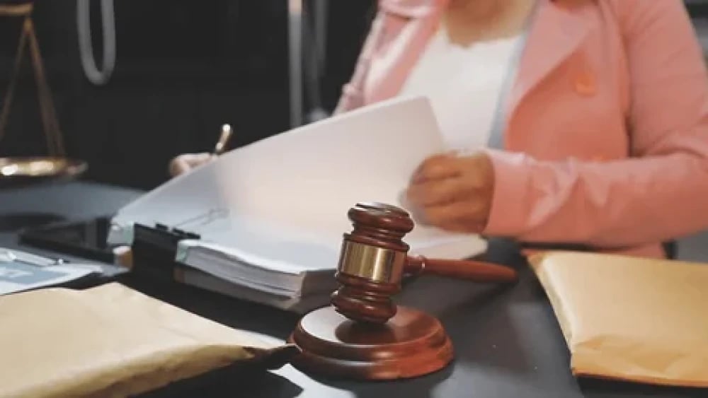 Pro Se Litigants in Employment Disputes: Preparing Eggshell Plaintiff Claims