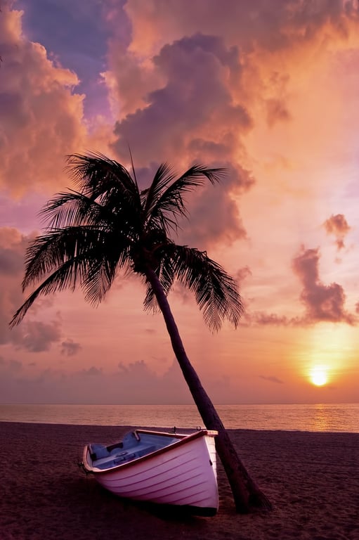 Whispering Palms Sunset 