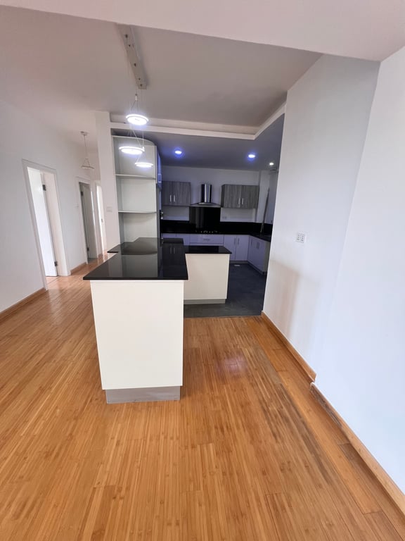 Kileleshwa four bedroom plus a dsq to let