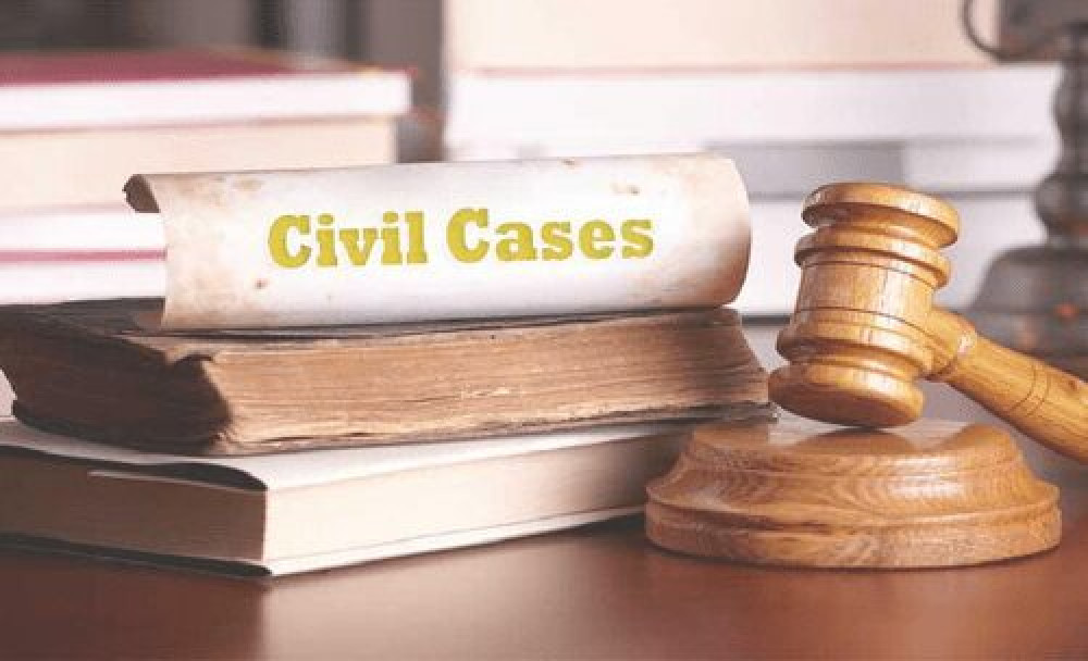 Affordable Civil Litigation Support for Court Filings