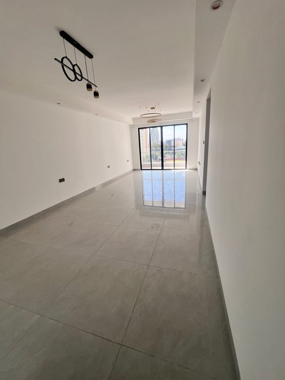 Kilimani two bed room plus a dsq to let
