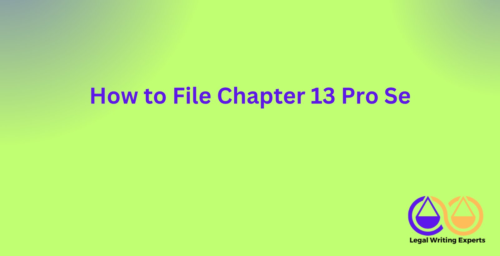 How to File Chapter 13 Pro Se