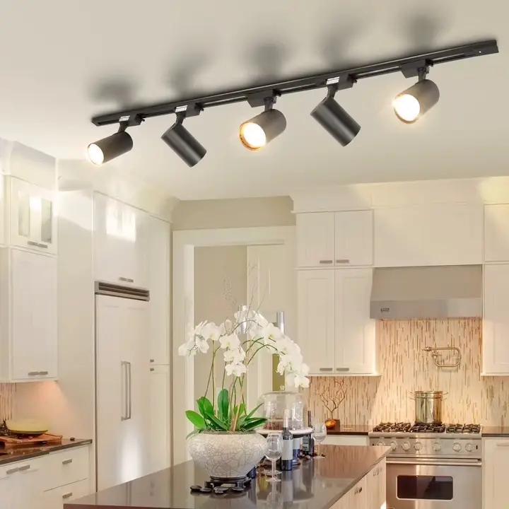 5-Light Adjustable Track Lighting System
