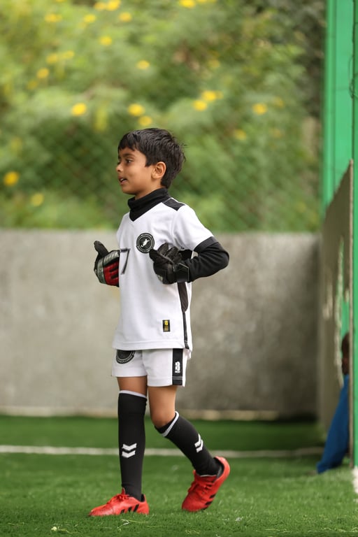 The Quiet Before the Storm 