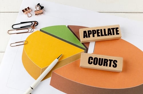 Motion to Strike Expert Report: Key Filing Steps