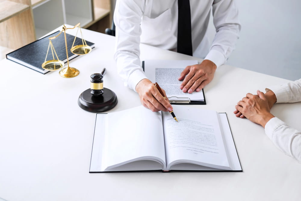 Professional Drafting for Motion to Dismiss in Fraud Litigation