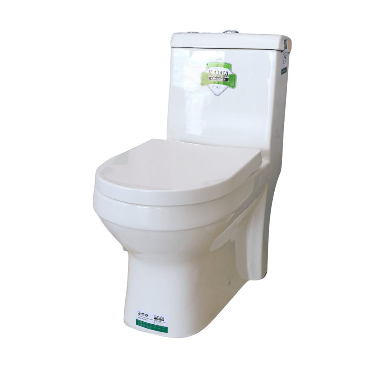 Sawa One-Piece Toilet