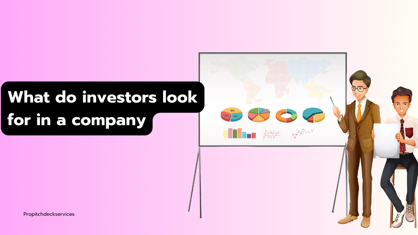 What do Investors Look for in a Company? -  SlidesVamp