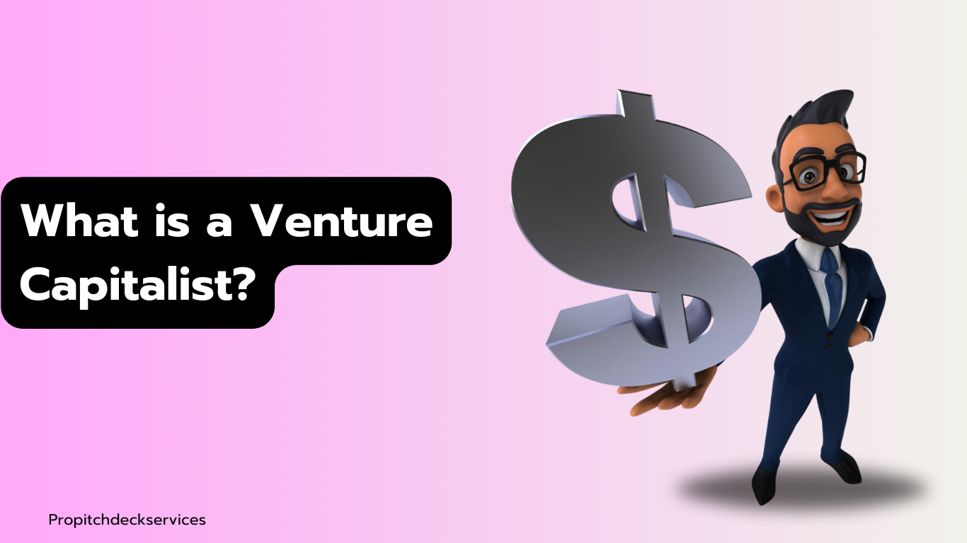What is a Venture Capitalist?