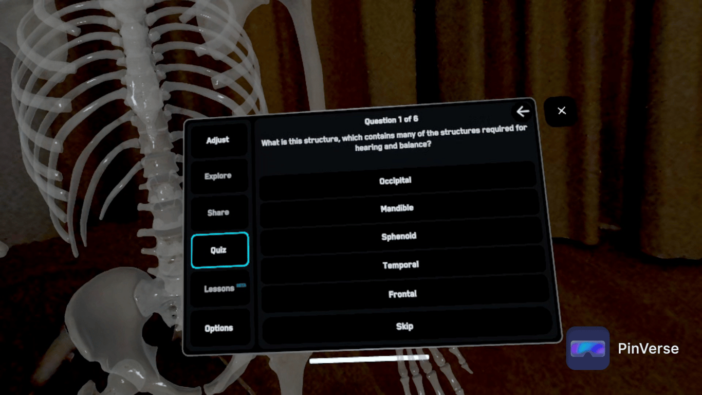Anatomy X — Quiz, screen 3 of 6