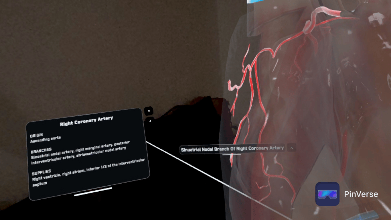 Anatomy X — Lesson, screen 1 of 3