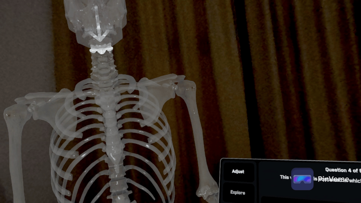 Anatomy X — Quiz, screen 4 of 6