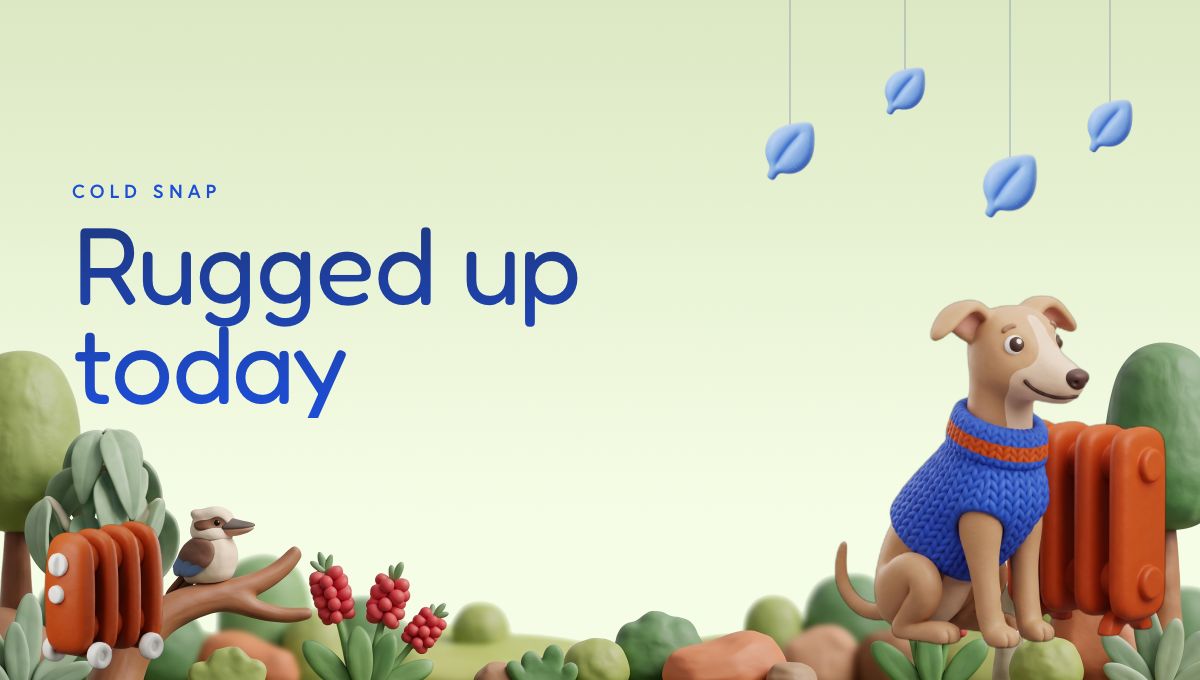 Cold snap report card header