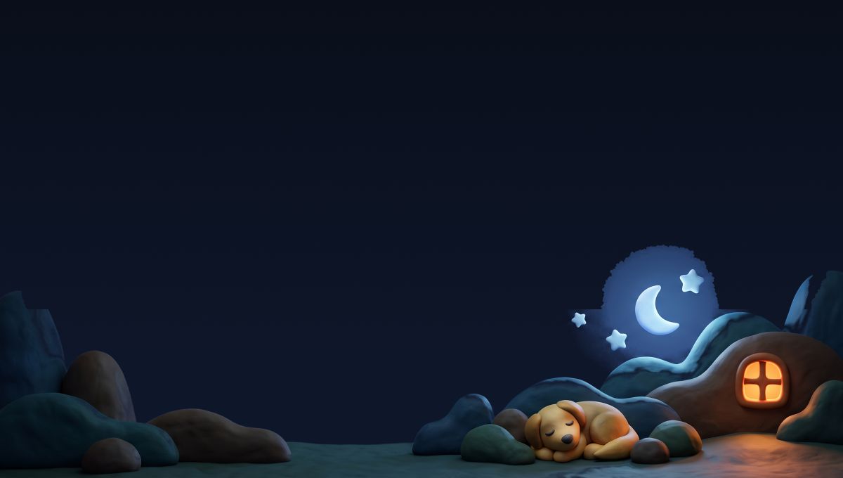 Night sky report card header