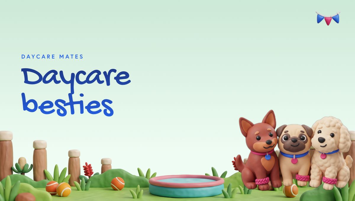 Daycare mates report card header