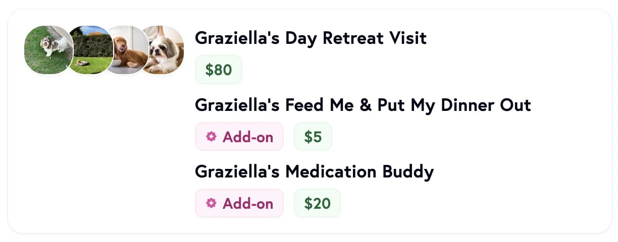 Add-ons booking experience showing customers selecting extras during booking