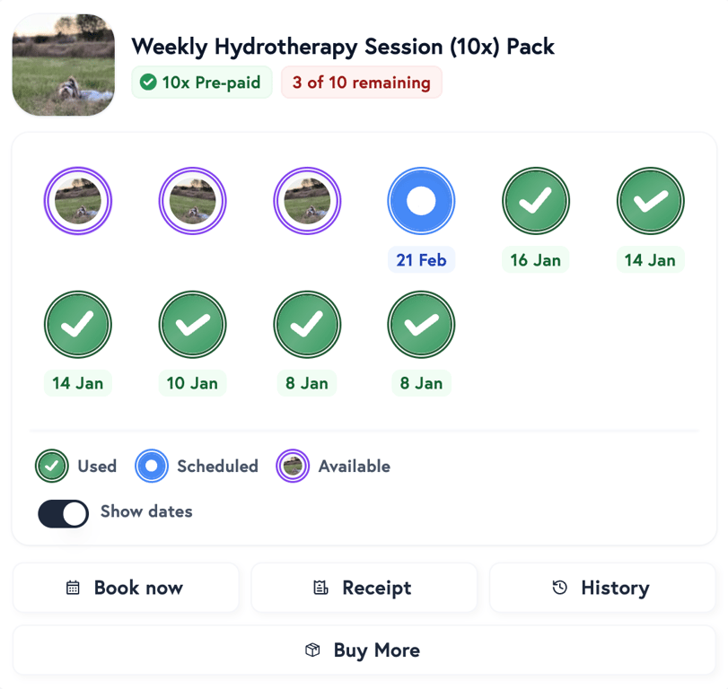 Petboost rehabilitation package credits