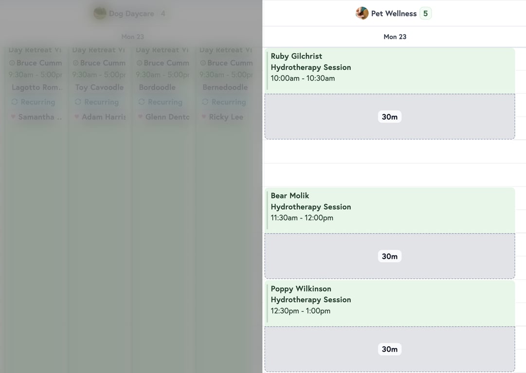 Petboost scheduler showing appointment padding visualised as dashed border sections