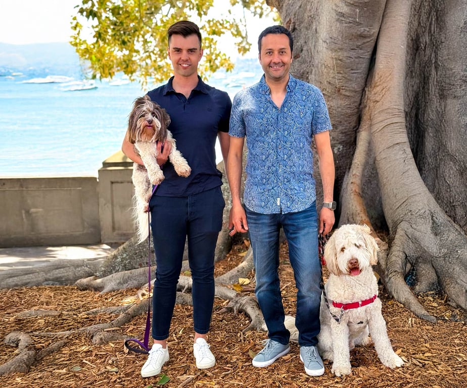 Happy dogs at a pet daycare facility representing the diverse pet businesses Petboost serves