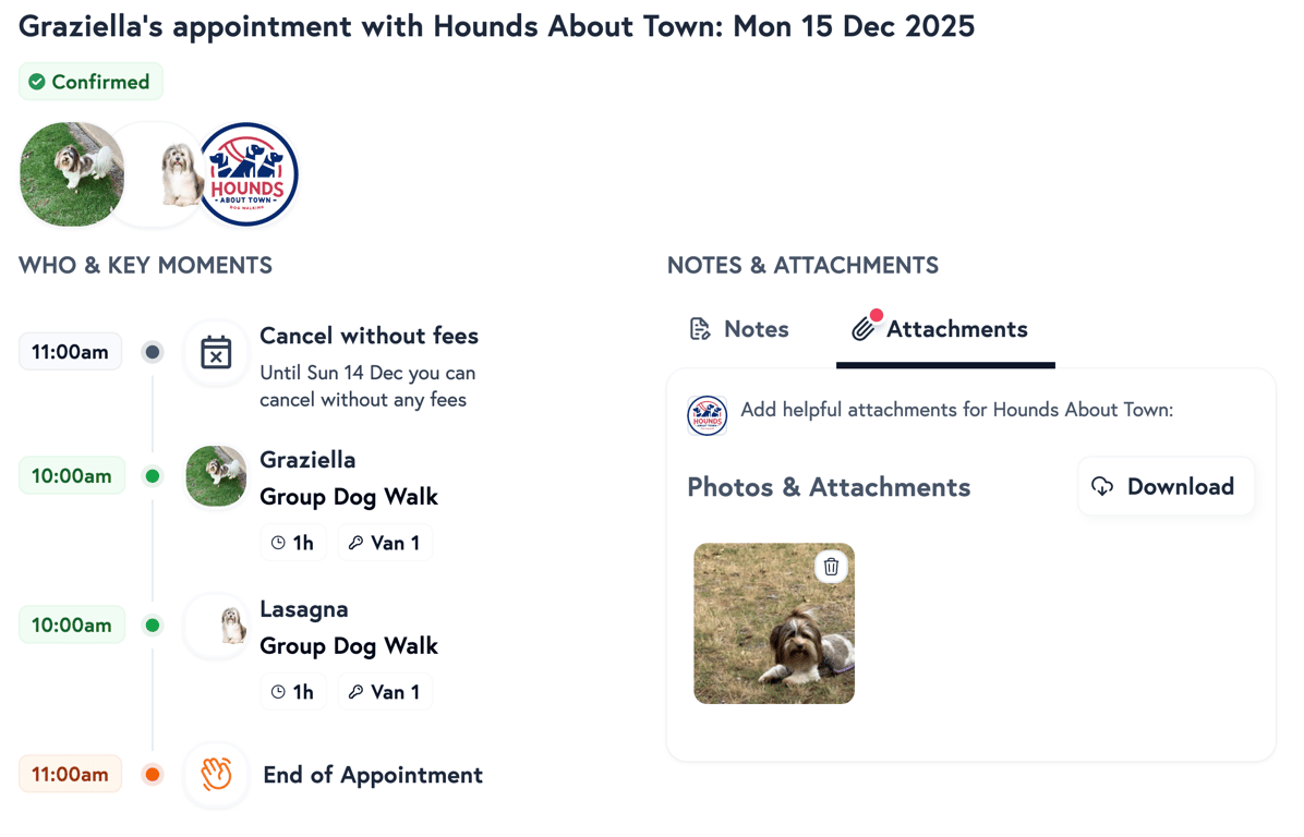 Book pet services near you