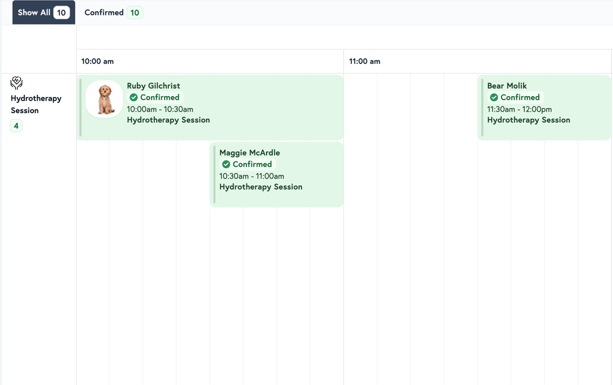 Petboost scheduler timeline view showing horizontal swim lanes for team members
