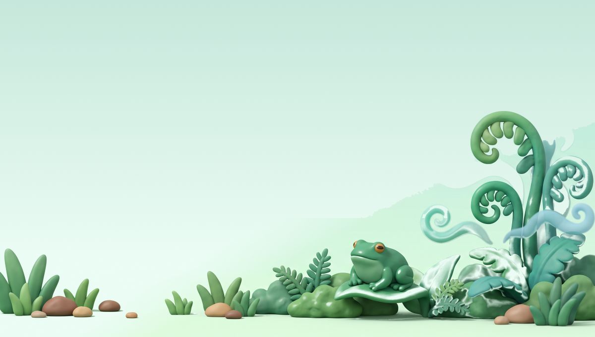 Rainforest report card header