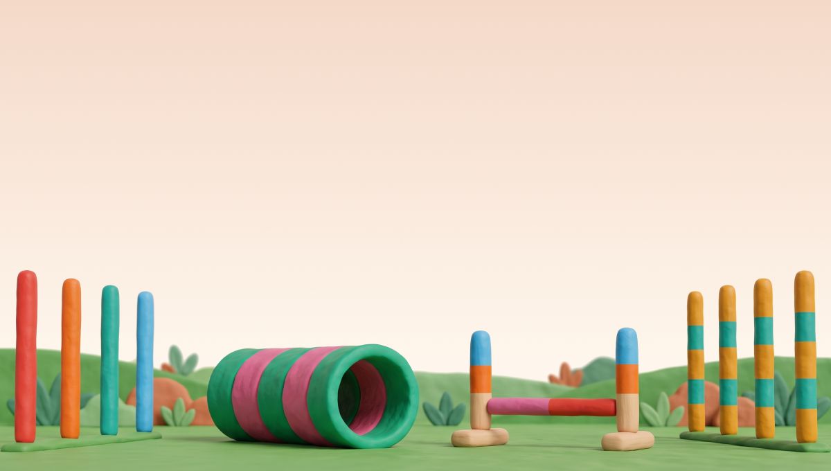 Agility course report card header