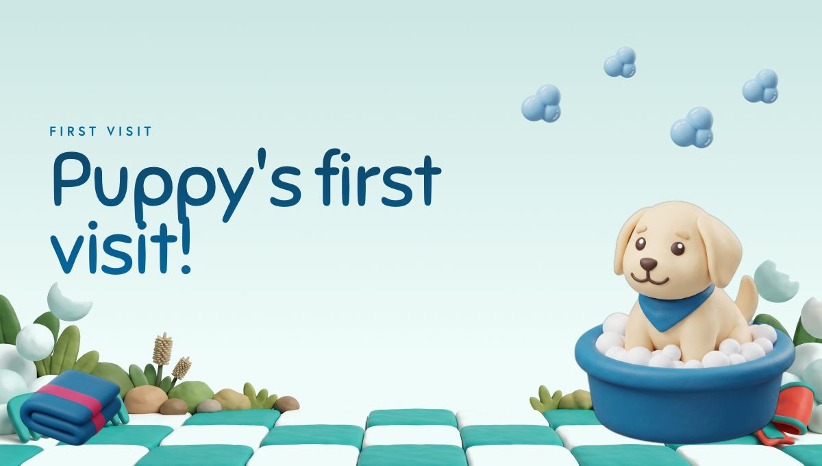 Puppy's first report card header