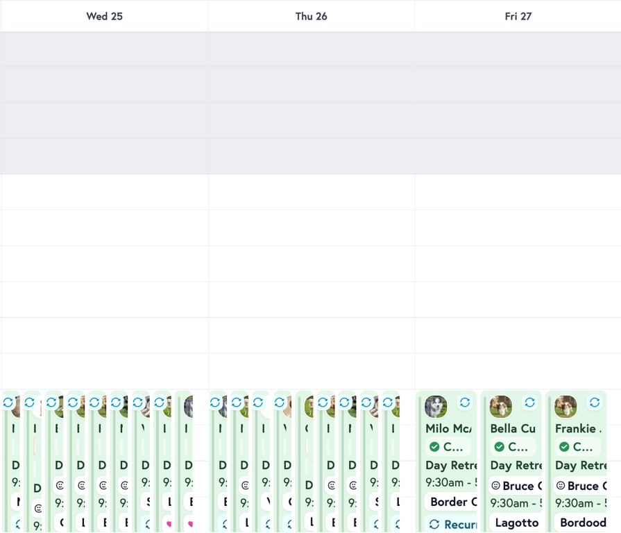 Traditional calendar view with overlapping appointment slivers that are hard to read