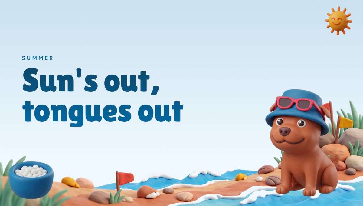 Summer report card header
