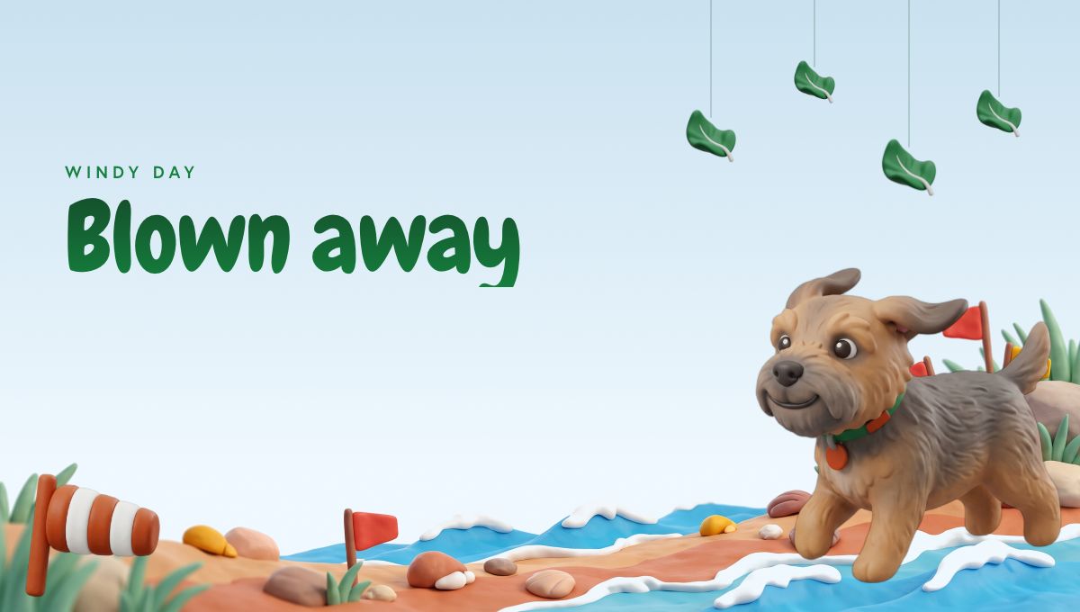 Windy day report card header