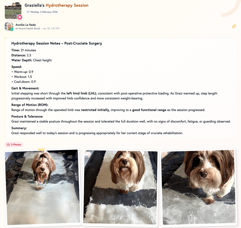 Petboost report card showing hydrotherapy session notes sent to pet owner